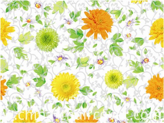 Popular Cheap PVC Printed Transparent Tablecloth (TJ0052) Lfgbchina Factory